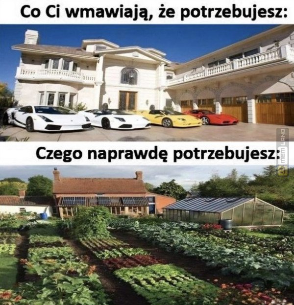 Śmieszny mem: 3445454 - MemLand