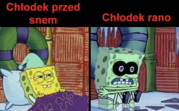 Śmieszny mem: 3445462 - MemLand