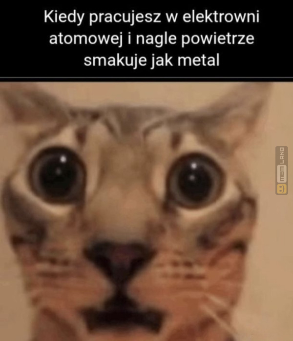 Śmieszny mem: 3455181 - MemLand