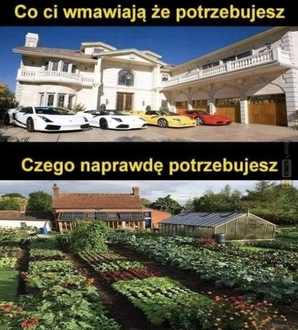 Śmieszny mem: 3455357 - MemLand