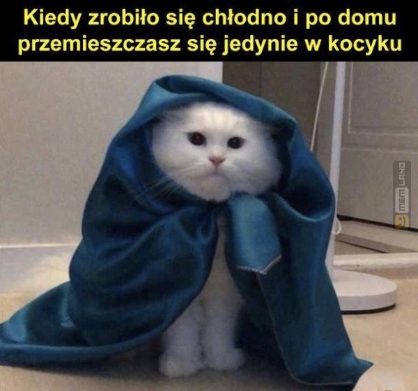 Śmieszny mem: 3456297 - MemLand