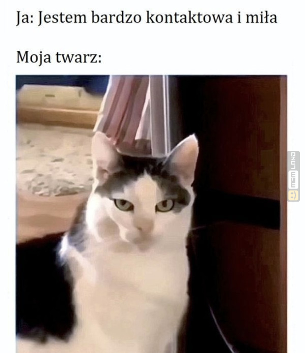 Śmieszny mem: 3458623 - MemLand