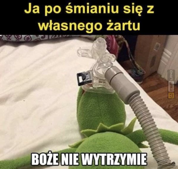 Śmieszny mem: 3466589 - MemLand