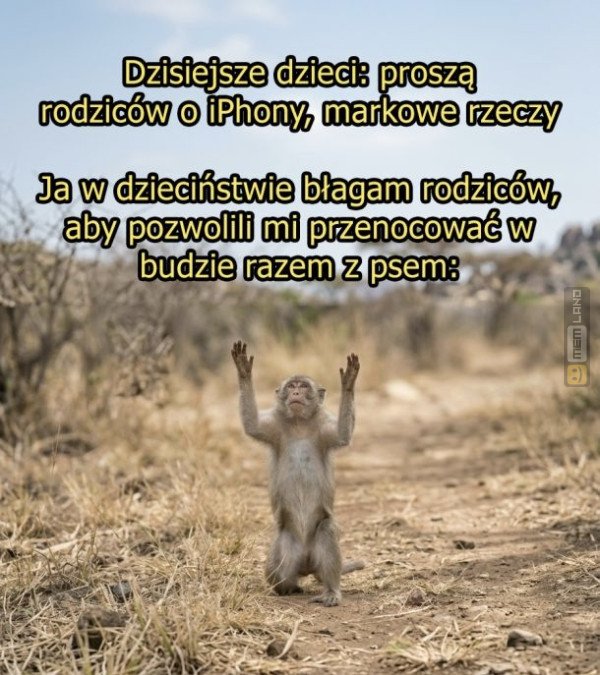 Śmieszny mem: 3468861 - MemLand