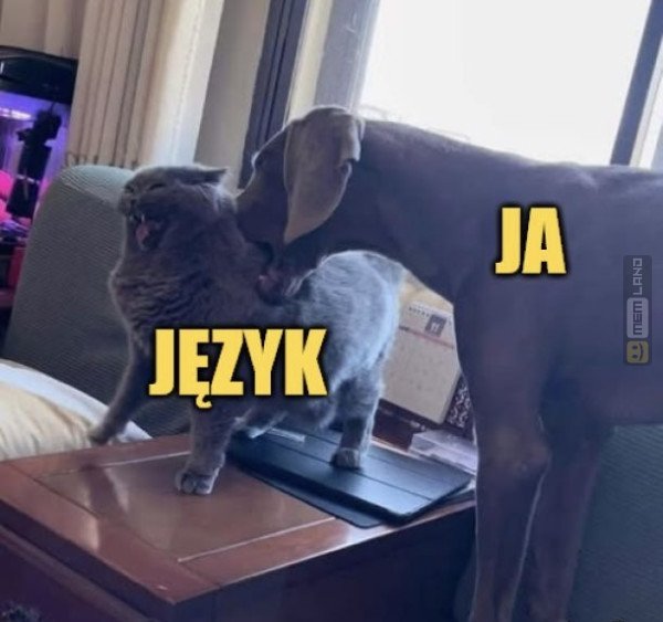 Śmieszny mem: 3473868 - MemLand