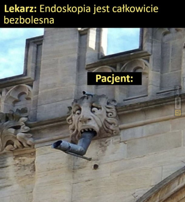 Śmieszny mem: 3478625 - MemLand