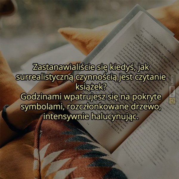 Śmieszny mem: 3479121 - MemLand