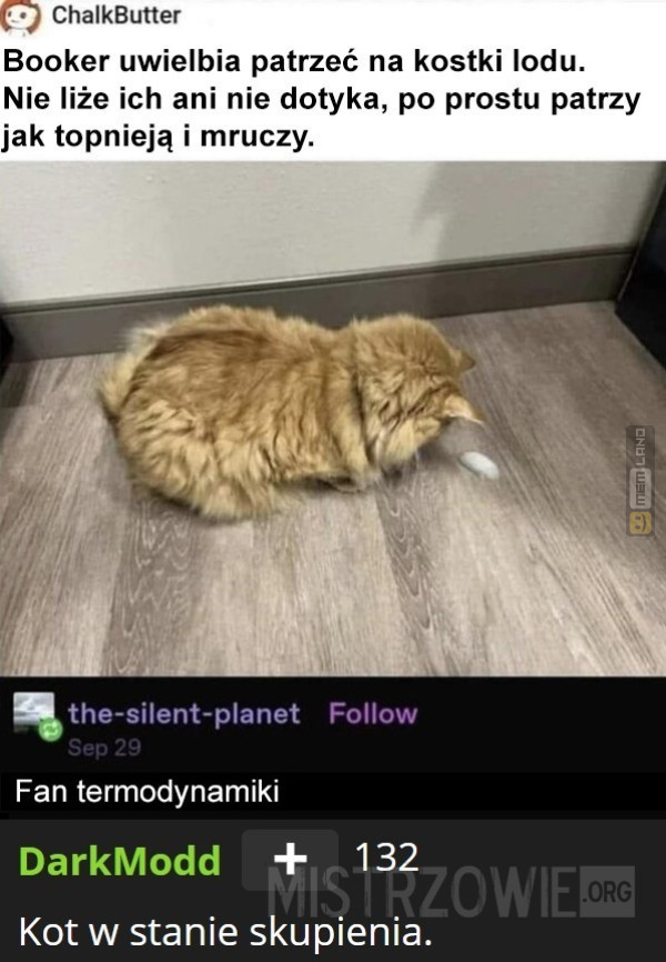 Śmieszny mem: 3483832 - MemLand