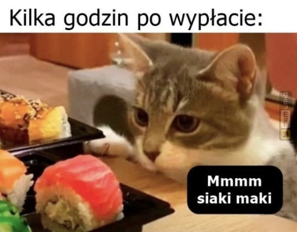 Śmieszny mem: 3484065 - MemLand