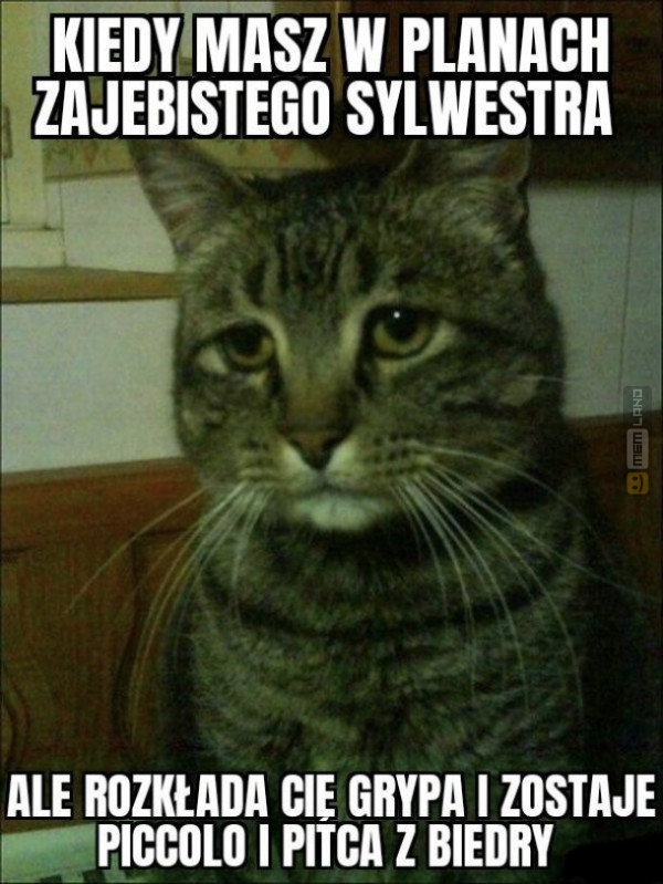 Śmieszny mem: 3485576 - MemLand