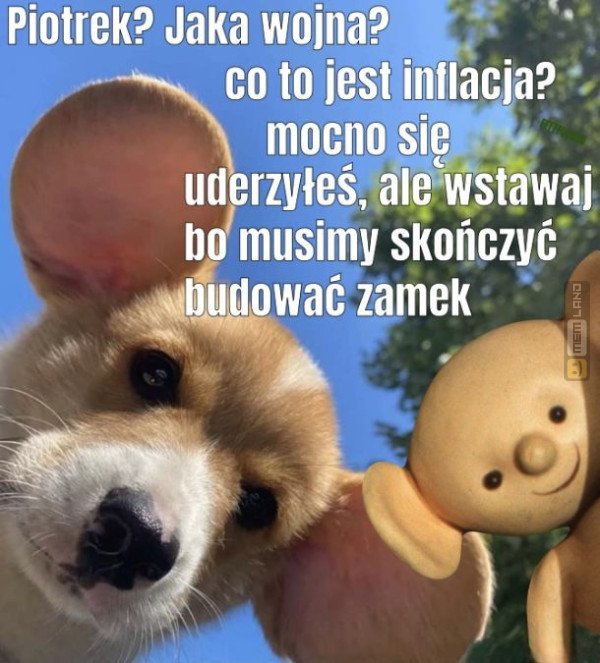 Śmieszny mem: 3496281 - MemLand
