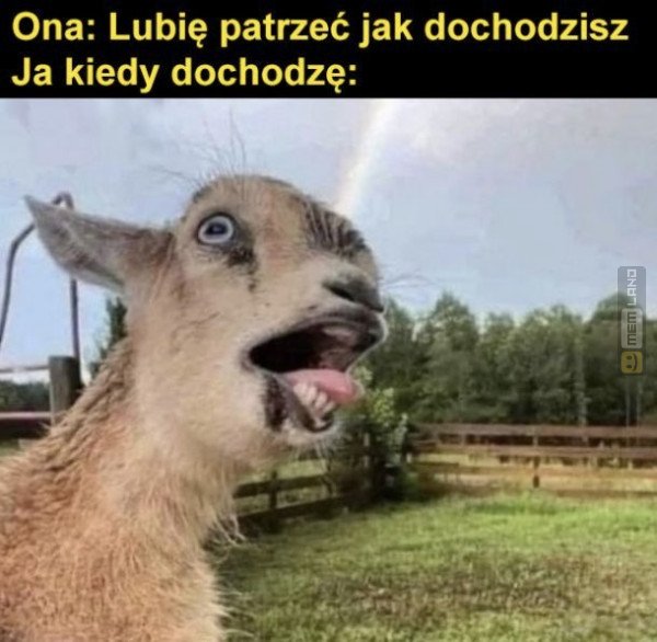Śmieszny mem: 3498854 - MemLand