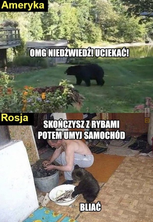 Śmieszny mem: 3498912 - MemLand