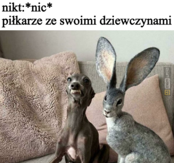 Śmieszny mem: 3511554 - MemLand