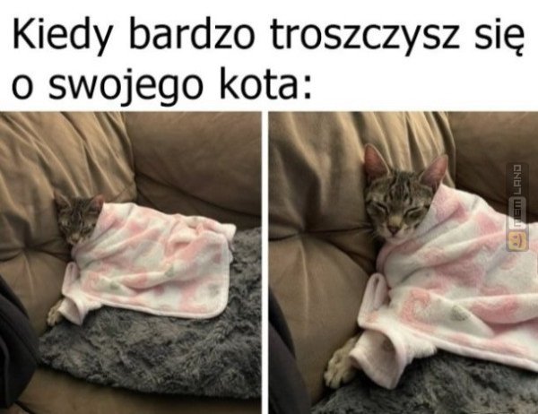 Śmieszny mem: 3519733 - MemLand