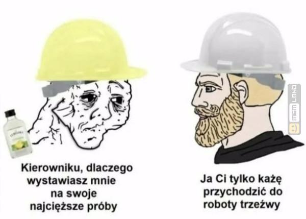 Śmieszny mem: 3523724 - MemLand