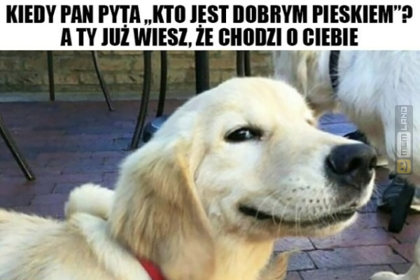 Śmieszny mem: 3526188 - MemLand