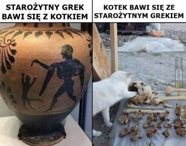 Śmieszny mem: 3536727 - MemLand