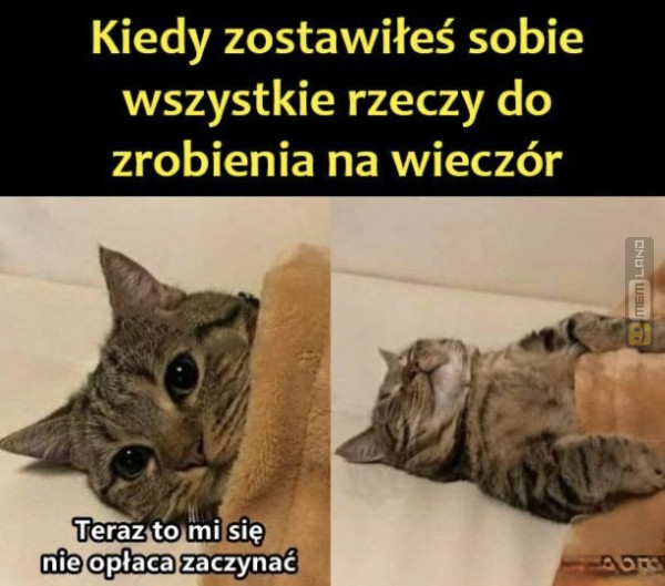 Śmieszny mem: 3539481 - MemLand