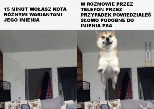 Śmieszny mem: 3540137 - MemLand