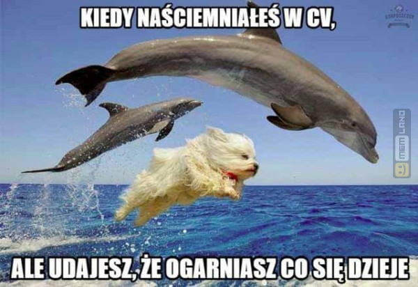 Śmieszny mem: 3551442 - MemLand