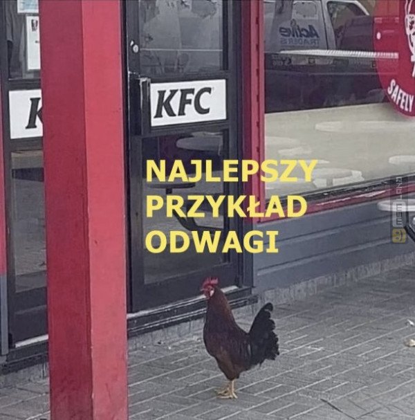 Śmieszny mem: 3551899 - MemLand