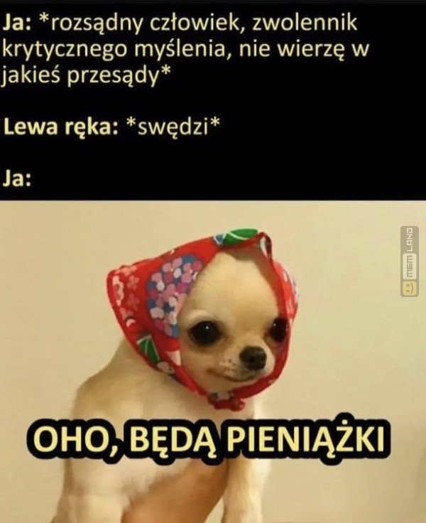 Śmieszny mem: 3552339 - MemLand
