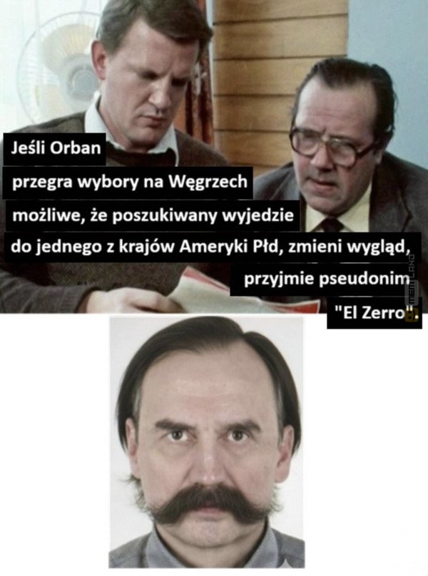 Śmieszny mem: 3555539 - MemLand
