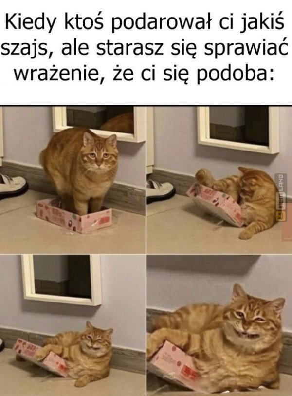 Śmieszny mem: 3555661 - MemLand
