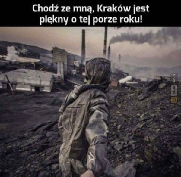 Śmieszny mem: 3557446 - MemLand