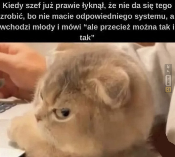 Śmieszny mem: 3562546 - MemLand