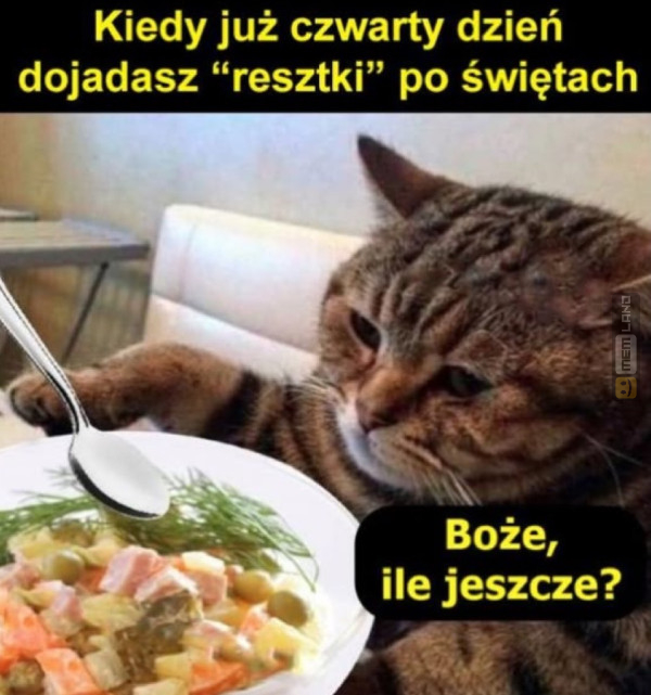 Śmieszny mem: 3569010 - MemLand