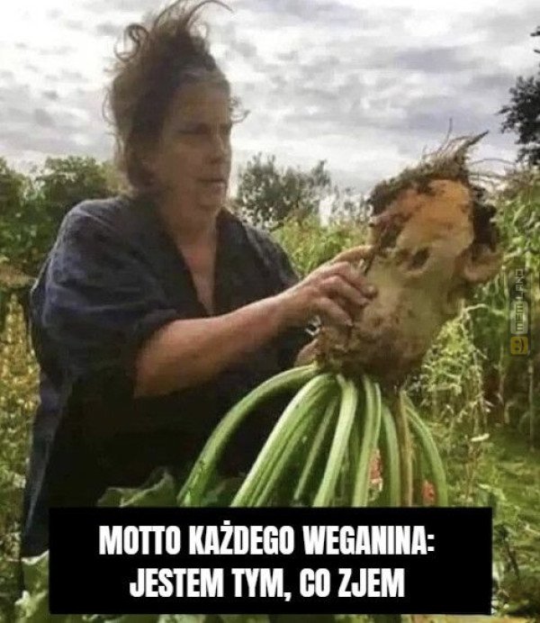 Śmieszny mem: 3571391 - MemLand