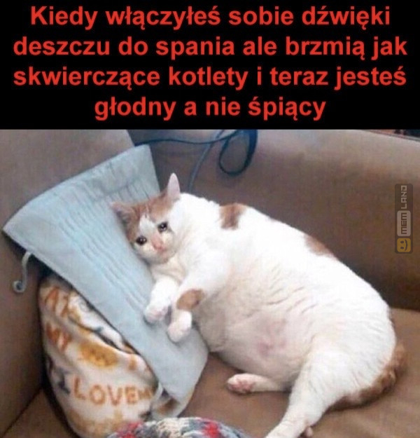 Śmieszny mem: 3581054 - MemLand