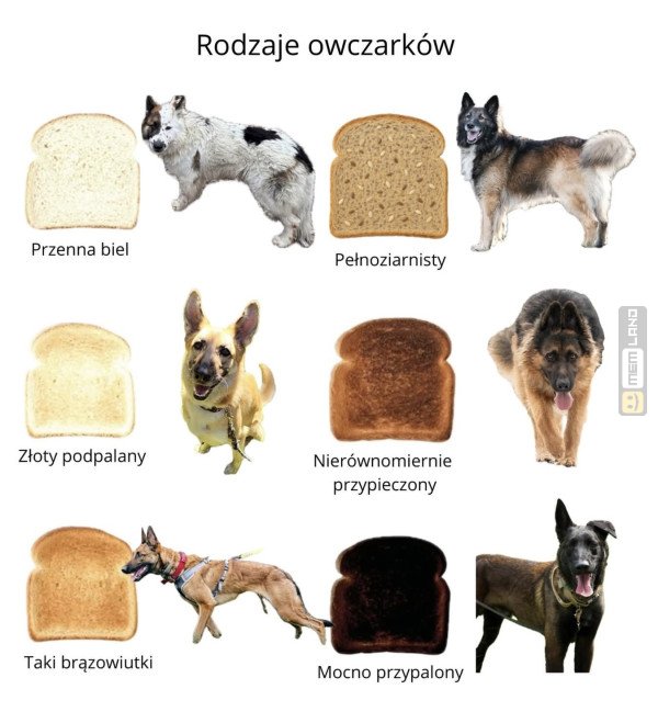 Śmieszny mem: 3582457 - MemLand