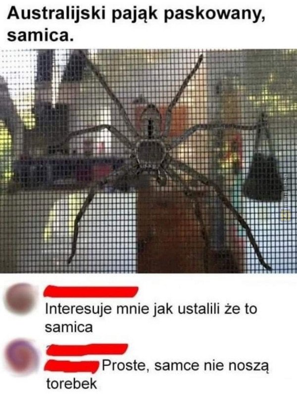 Śmieszny mem: 3591471 - MemLand