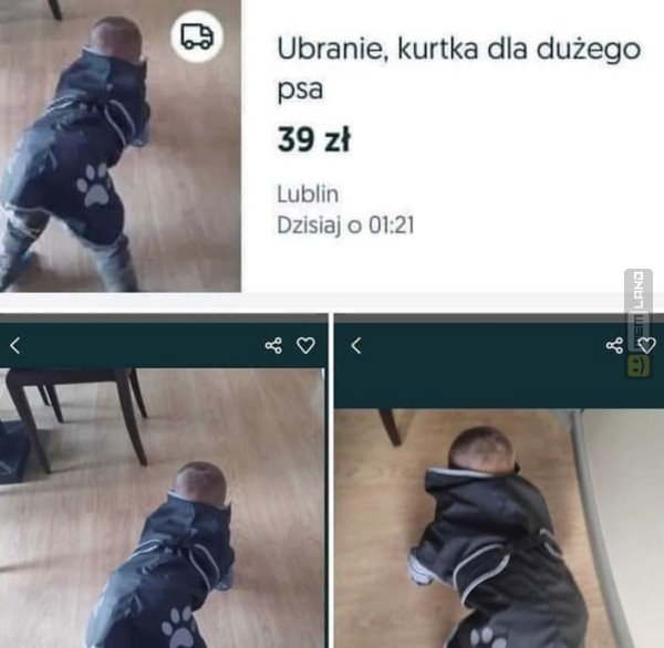 Śmieszny mem: 3596035 - MemLand