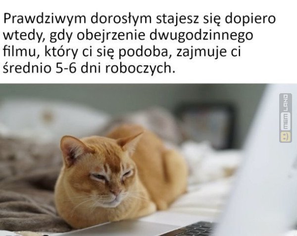 Śmieszny mem: 3597118 - MemLand