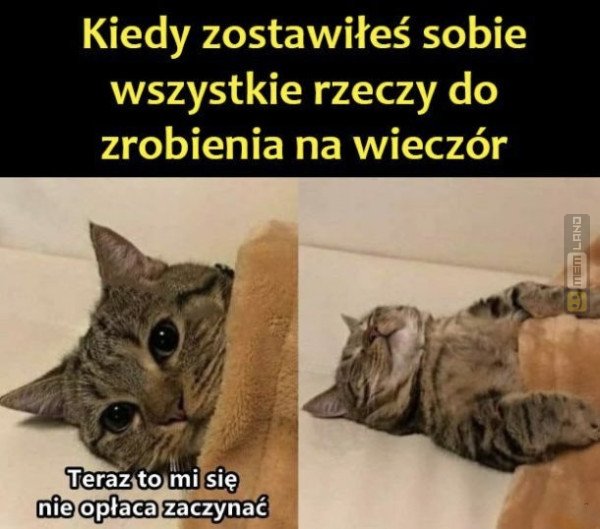 Śmieszny mem: 3600428 - MemLand