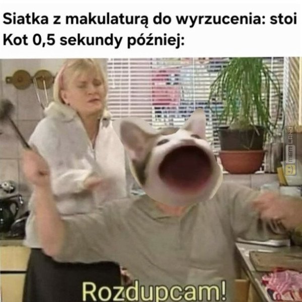 Śmieszny mem: 3605721 - MemLand