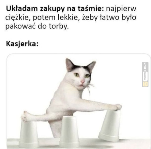 Śmieszny mem: 3619263 - MemLand