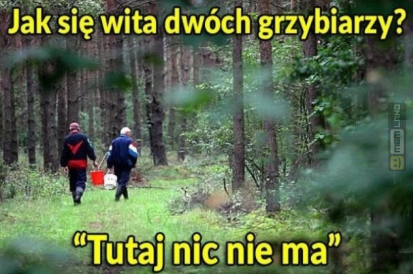 Śmieszny mem: 3619264 - MemLand