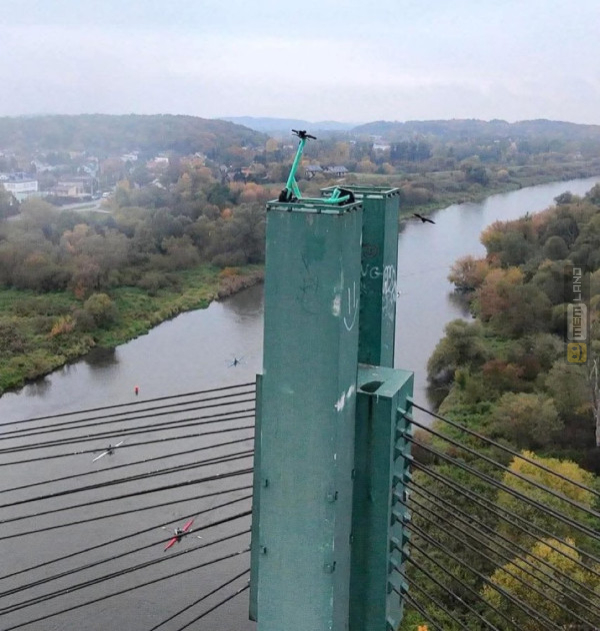 Śmieszny mem: 3622163 - MemLand