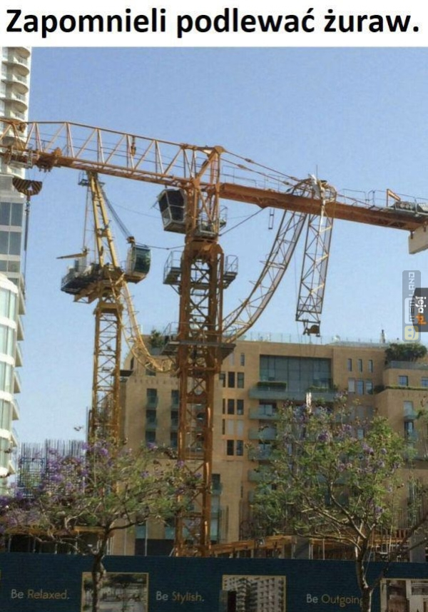 Śmieszny mem: 3629328 - MemLand