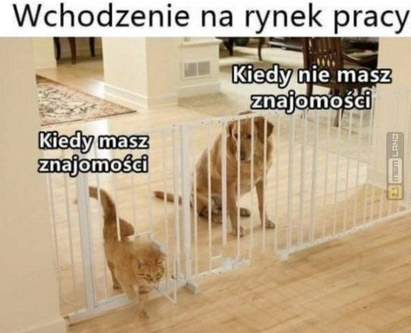 Śmieszny mem: 3629585 - MemLand