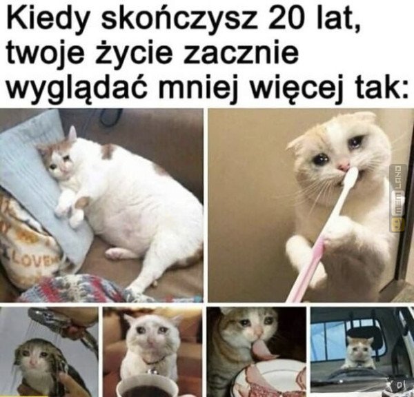 Śmieszny mem: 3632592 - MemLand