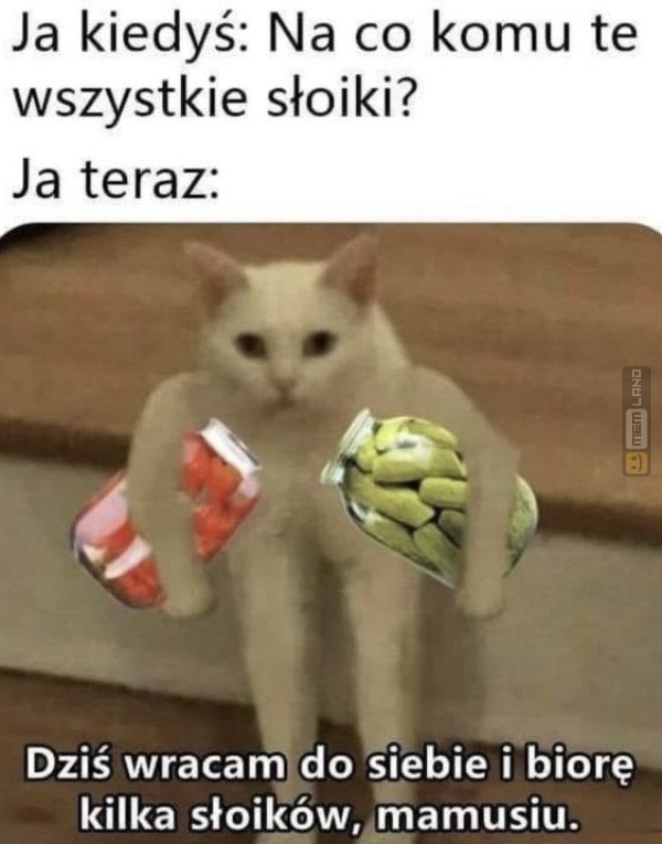 Śmieszny mem: 3636011 - MemLand