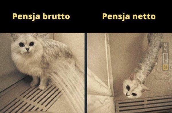 Śmieszny mem: 3646715 - MemLand