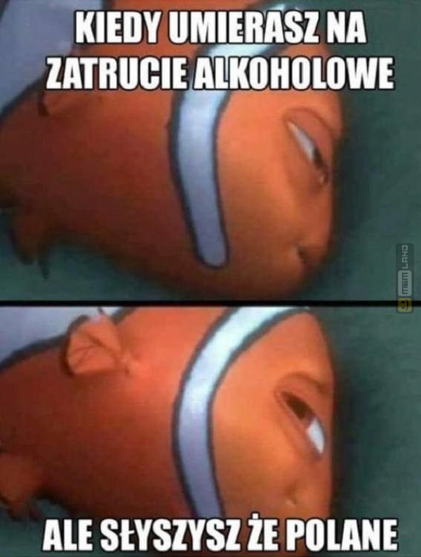 Śmieszny mem: 3647165 - MemLand