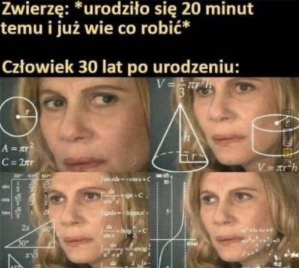 Śmieszny mem: 3649131 - MemLand